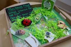 Little Sparks Nursery, Clayton Le Moor - Explorers